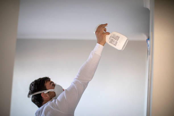 Best Mold Damage Repair  in Mantua, UT