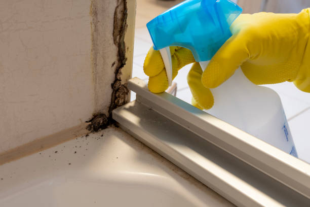 Best Crawl Space Mold Removal  in Mantua, UT