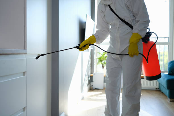 Best Mold Cleaning Services  in Mantua, UT