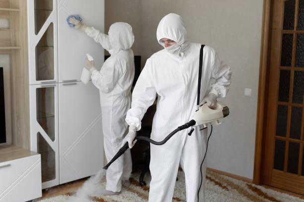 Best Professional Mold Removal  in Mantua, UT