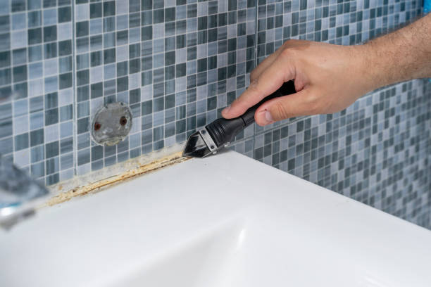 Best Mold Testing  in Mantua, UT
