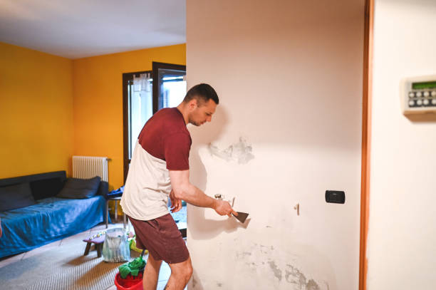 Best Water Damage Restoration  in Mantua, UT